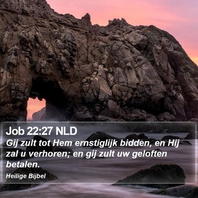 Job 22:27 NLD Bible Verse Image