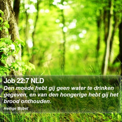 Job 22:7 NLD Bible Verse Image