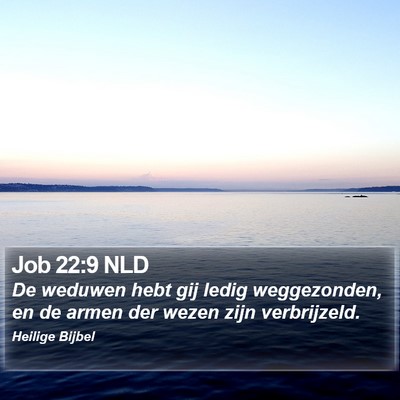 Job 22:9 NLD Bible Verse Image