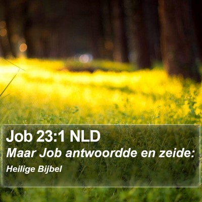Job 23:1 NLD Bible Verse Image