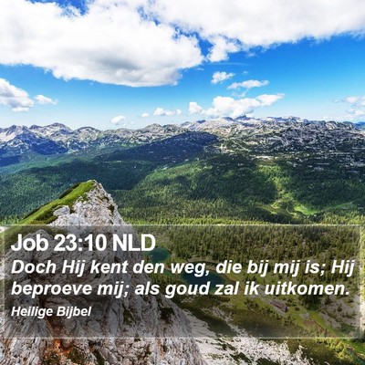 Job 23:10 NLD Bible Verse Image