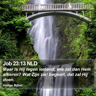 Job 23:13 NLD Bible Verse Image