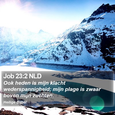Job 23:2 NLD Bible Verse Image
