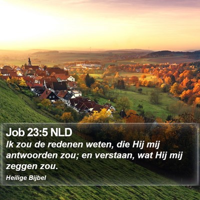 Job 23:5 NLD Bible Verse Image