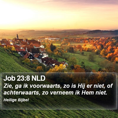 Job 23:8 NLD Bible Verse Image