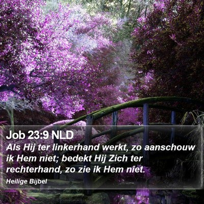 Job 23:9 NLD Bible Verse Image