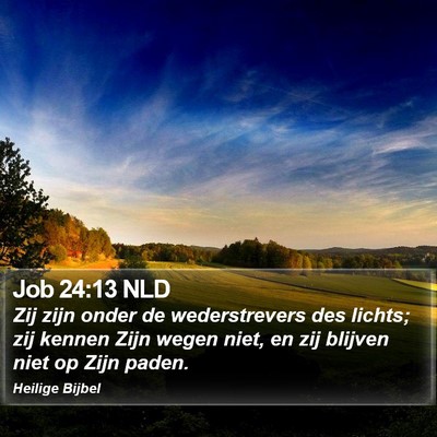 Job 24:13 NLD Bible Verse Image