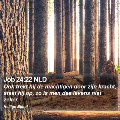 Job 24:22 NLD Bible Verse Image