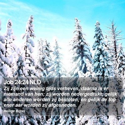 Job 24:24 NLD Bible Verse Image