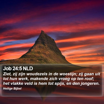 Job 24:5 NLD Bible Verse Image