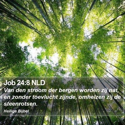 Job 24:8 NLD Bible Verse Image