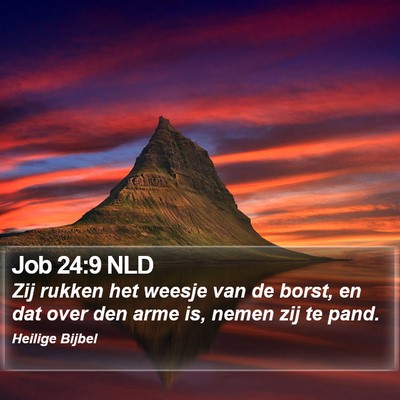 Job 24:9 NLD Bible Verse Image