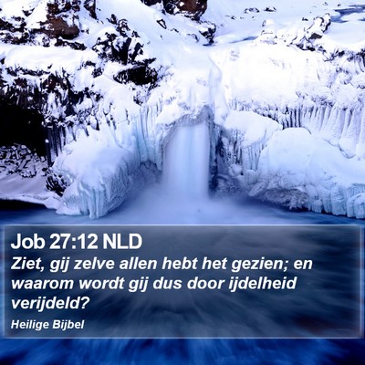 Job 27:12 NLD Bible Verse Image