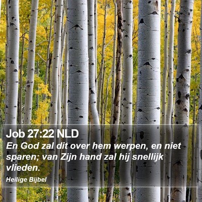 Job 27:22 NLD Bible Verse Image