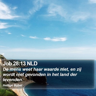 Job 28:13 NLD Bible Verse Image