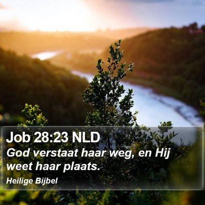 Job 28:23 NLD Bible Verse Image