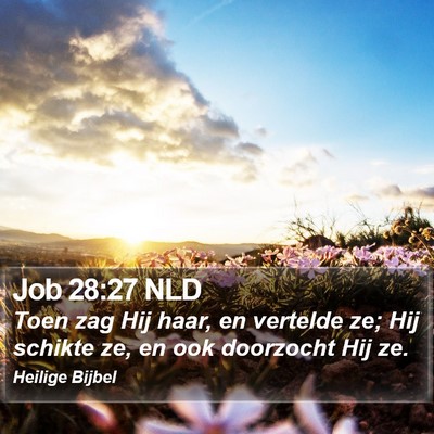 Job 28:27 NLD Bible Verse Image