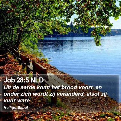 Job 28:5 NLD Bible Verse Image