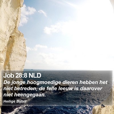 Job 28:8 NLD Bible Verse Image