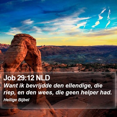 Job 29:12 NLD Bible Verse Image