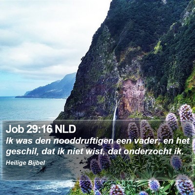 Job 29:16 NLD Bible Verse Image