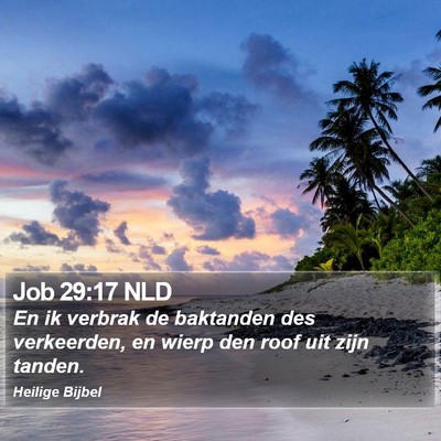 Job 29:17 NLD Bible Verse Image