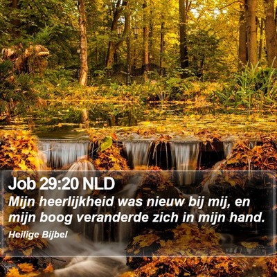 Job 29:20 NLD Bible Verse Image
