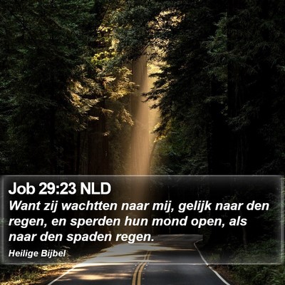 Job 29:23 NLD Bible Verse Image