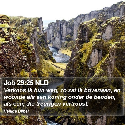 Job 29:25 NLD Bible Verse Image