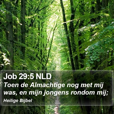 Job 29:5 NLD Bible Verse Image