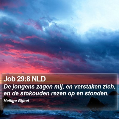 Job 29:8 NLD Bible Verse Image