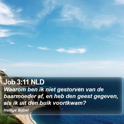 Job 3:11 NLD Bible Verse Image