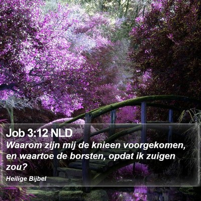 Job 3:12 NLD Bible Verse Image
