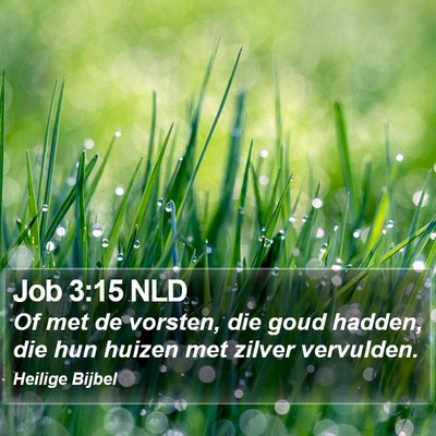 Job 3:15 NLD Bible Verse Image