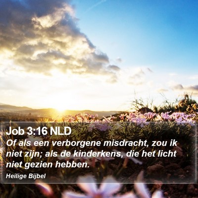 Job 3:16 NLD Bible Verse Image