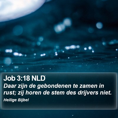 Job 3:18 NLD Bible Verse Image