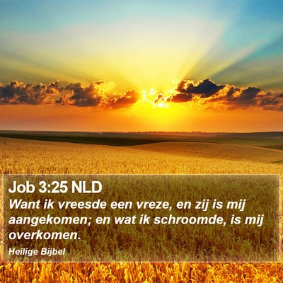 Job 3:25 NLD Bible Verse Image