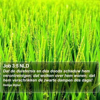 Job 3:5 NLD Bible Verse Image