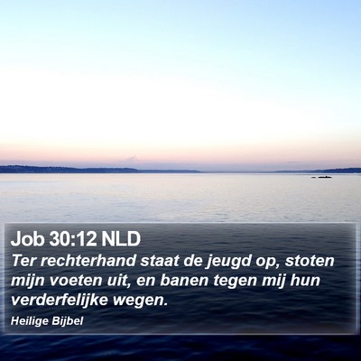 Job 30:12 NLD Bible Verse Image