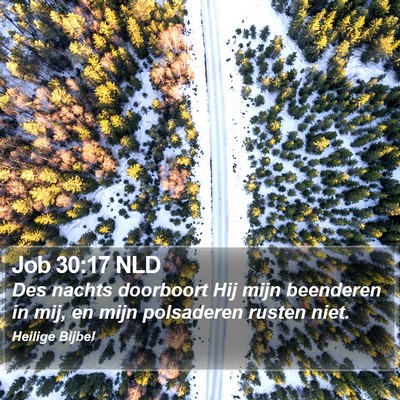 Job 30:17 NLD Bible Verse Image
