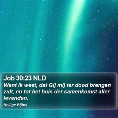 Job 30:23 NLD Bible Verse Image