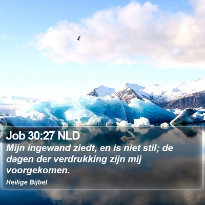 Job 30:27 NLD Bible Verse Image