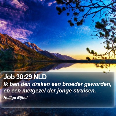 Job 30:29 NLD Bible Verse Image