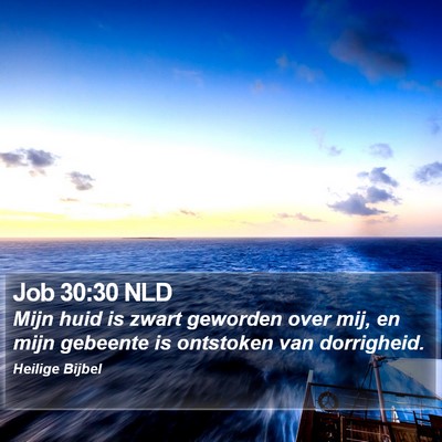Job 30:30 NLD Bible Verse Image