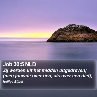 Job 30:5 NLD Bible Verse Image