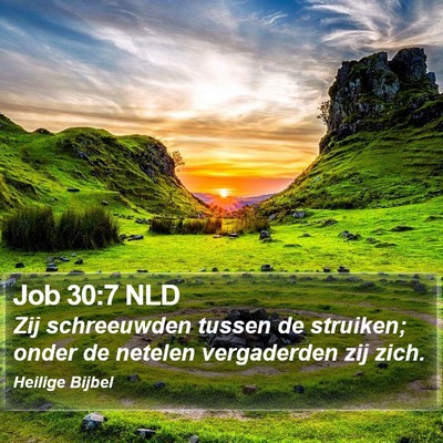 Job 30:7 NLD Bible Verse Image
