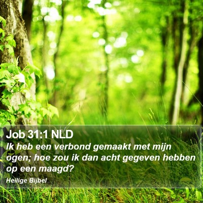 Job 31:1 NLD Bible Verse Image