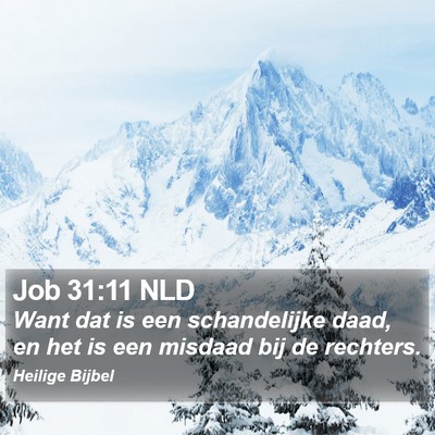 Job 31:11 NLD Bible Verse Image