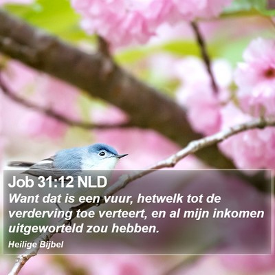 Job 31:12 NLD Bible Verse Image