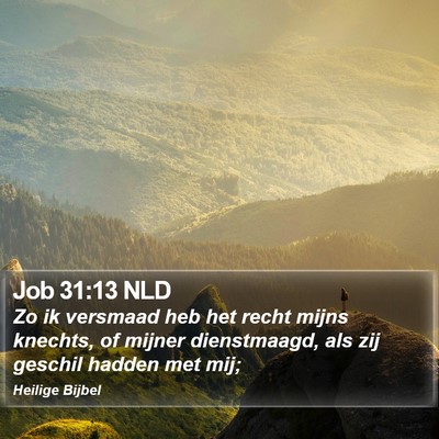 Job 31:13 NLD Bible Verse Image
